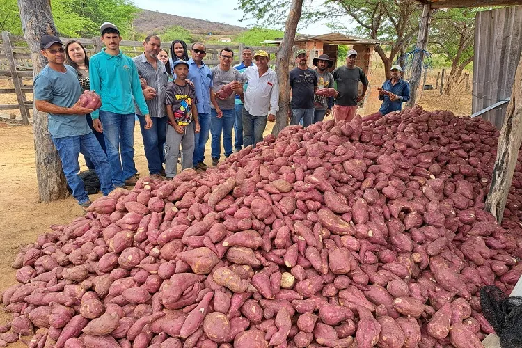 Agricultores festejam semana da agricultura familiar em Malhada de Pedras