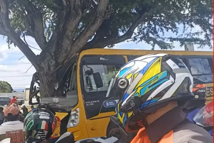 Paulo Afonso: Dez pessoas ficam feridas após ônibus escolar bater em árvore
