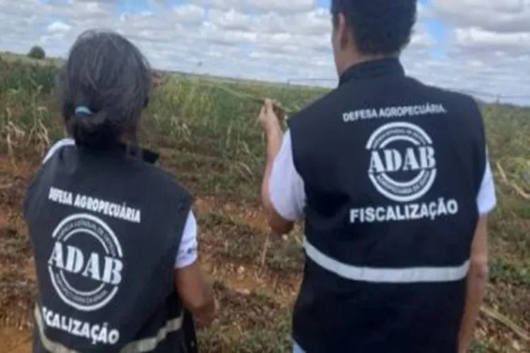 Governo da Bahia divulga edital de concurso público para 160 vagas para a Adab