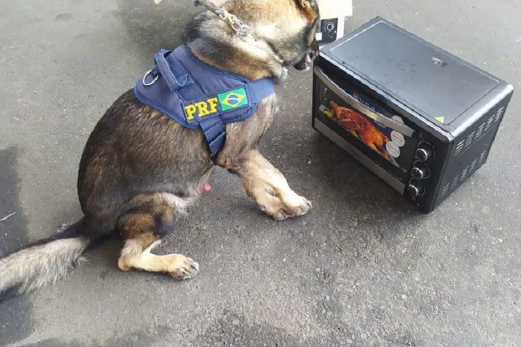 PRF apreende cocaína escondida dentro de forno elétrico na BR-116 em Vitória da Conquista