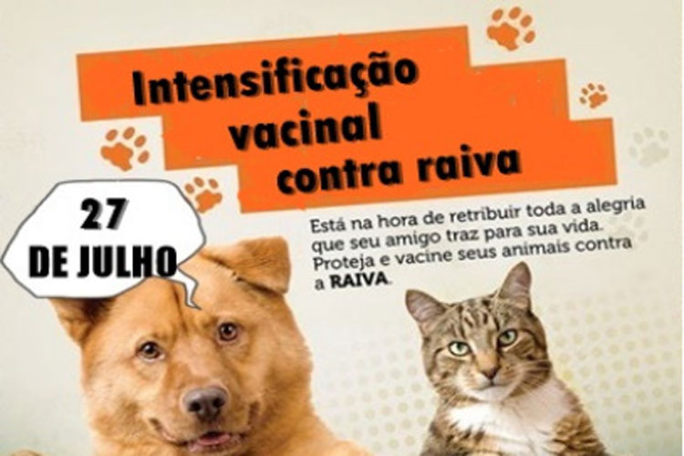Brumado: 27 de julho é o dia D da vacinação contra a raiva canina e felina