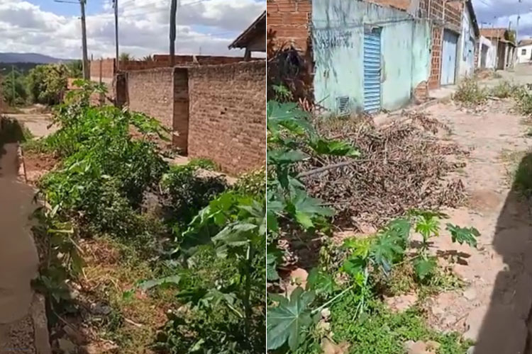 'Ruas ficam até 15 dias sem varrer e sem capinar', denunciam moradores de Brumado
