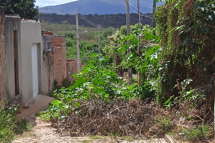 'Ruas ficam até 15 dias sem varrer e sem capinar', denunciam moradores de Brumado