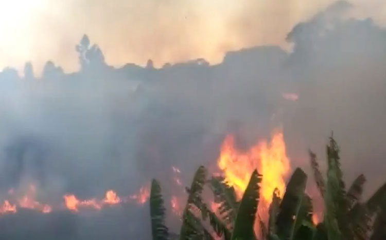 Incêndios atingem áreas de vegetação em Vitória da Conquista