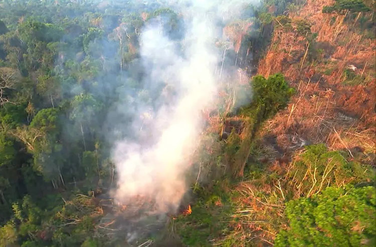 Amazônia tem maior número de incêndios em maio desde 2004