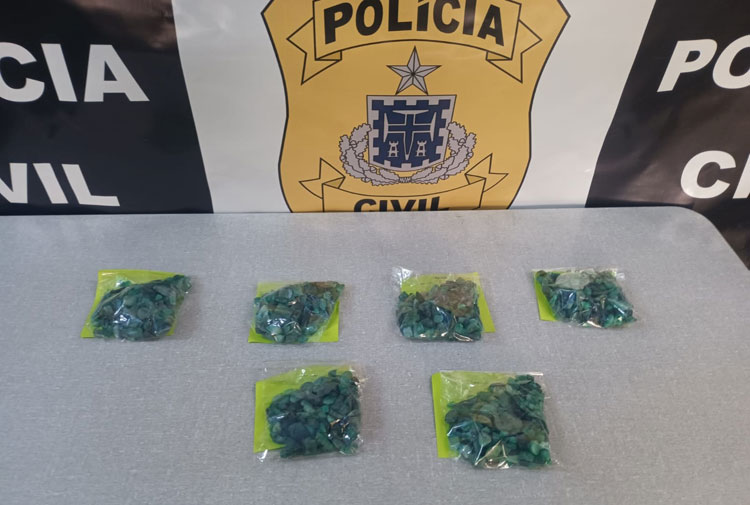 Pedras de esmeraldas são apreendidas pela Polícia Civil em Campo Formoso