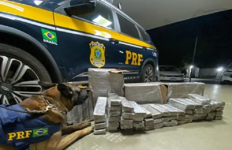 PRF aprende 56 kg de maconha com homem de 20 anos na BR-116 em Vitória da Conquista