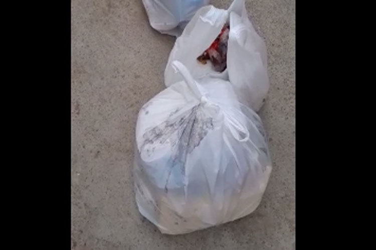 Contra imposto, brumadenses prometem jogar lixo na porta da prefeitura de Brumado