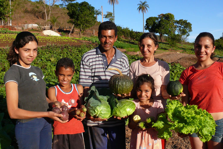 Ações da Codevasf fortalecem o trabalho de agricultores familiares no São Francisco baiano