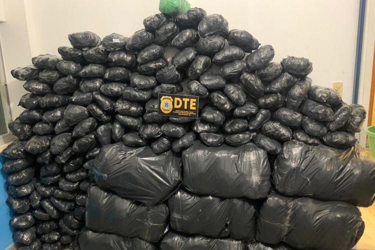 Feira de Santana: Cerca de 300 kg de maconha são achados em dois carros lotados com sacos da droga
