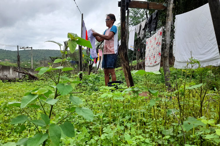 Brumado: Em meio a cobras e mato, lavadeiras cobram manutenção da lavanderia pública