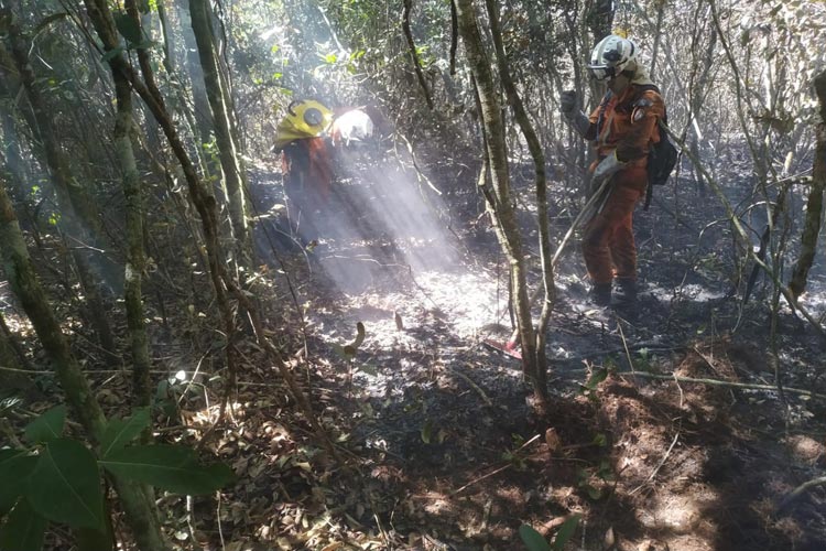 Rio de Contas: Incêndio controlado na Serra das Almas; cerca de 2 mil hectares de área nativa foram queimados