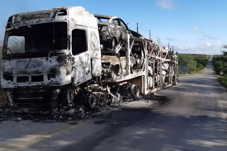 Caminhão-cegonha com 11 carros novos pega fogo na BR-116 no norte da Bahia