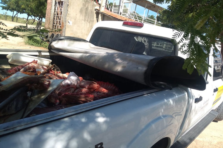 Guanambi: Adab apreende mais de 300 quilos de carne clandestina em Mutans