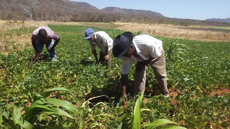 Riacho de Santana: Agricultores são contemplados com kits irrigação