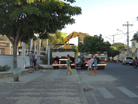 Brumado: Árvores são substituídas na Praça Coronel Zeca Leite