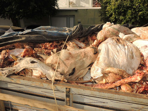 Adab e PM apreendem caminhão com carne clandestina que seria entregue em restaurante de Brumado