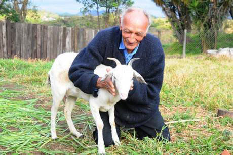 São Paulo: Homem vai se casar com cabra em Jundiaí