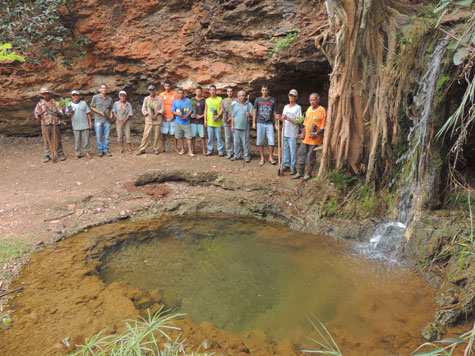 Brumado: Empresas mineradoras apoiam plantio de árvores nativas em Pedra Preta