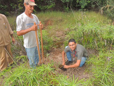 Brumado: Empresas mineradoras apoiam plantio de árvores nativas em Pedra Preta