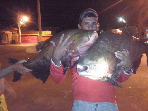 Tanhaçu: Pescadores pegam peixe de 30 kg no Rio das Contas