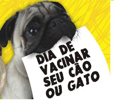 Brumado: Vacinação antirrábica para animais será no próximo dia 21