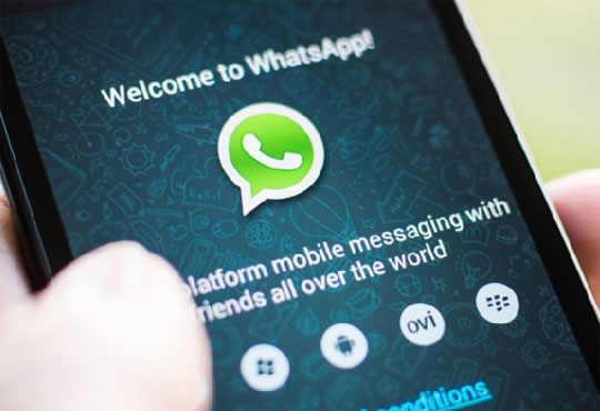 Tim anuncia parceria com WhatsApp ilimitado para todos os clientes