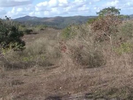 'Prendi respiração', diz jovem enterrado vivo em Itapebi