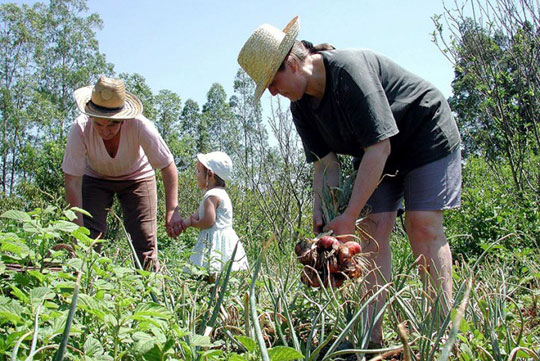 R$ 614 mil serão distribuídos através do Garantia Safra aos agricultores de Guajeru