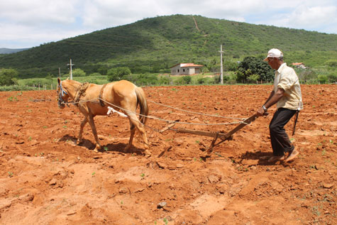 Brumado: Agricultores começam o plantio na expectativa de boa colheita em 2015