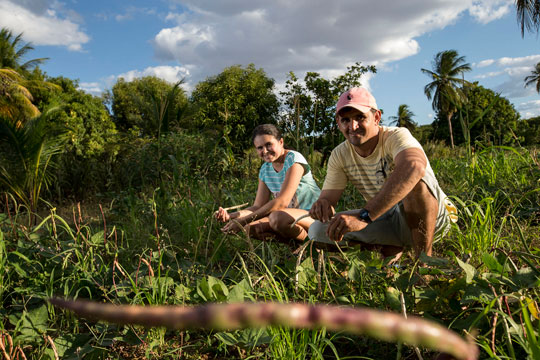 Agricultura familiar é uma das estratégias para vencer a fome