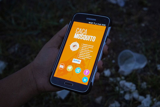 Sesab lança aplicativo para mapear focos do mosquito Aedes aegypti