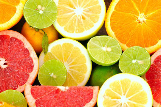 Estudo mostra riqueza nutricional do bagaço de frutas cítricas