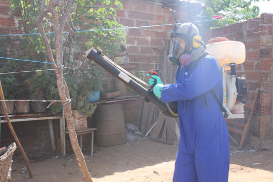 Mulher pode ser primeiro caso confirmado de Chikungunya em Brumado