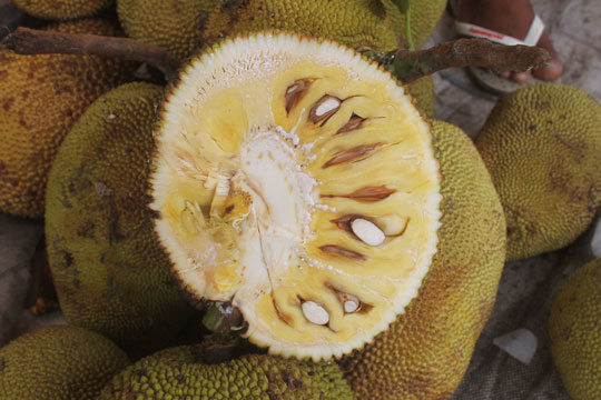 A jaca é a fruta da vez na feira de Brumado, conheça seus 11 benefícios