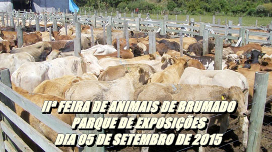 II Feira de Animais de Brumado acontece no dia 05 de setembro