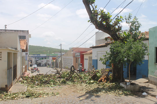 Brumado: Prefeitura não faz recolhimento e Travessa Moreira fica bloqueada por galhos de árvore
