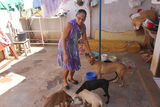 Brumado: Sem recursos, costureira cogita abrir mão do seu abrigo e devolver cães e gatos às ruas