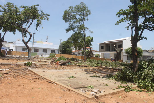 Brumado: Árvores cortadas na Praça do Jurema serão transformadas em obras de arte