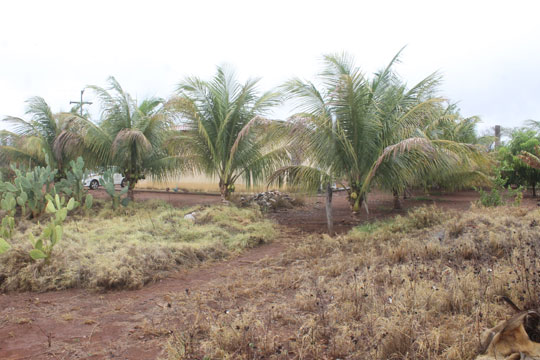 Vende-se propriedade com mais de 2 hectares, chácara e poços artesianos próximo a Vila Presidente Vargas