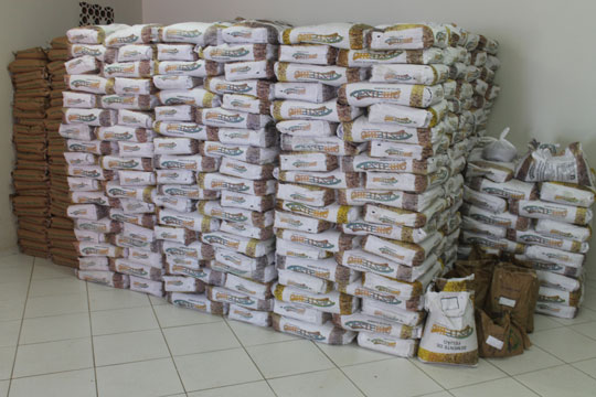 Brumado recebe 19 toneladas de grãos para plantio