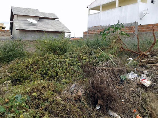 Brumado: Prefeitura dá início a projeto de reestruturação dos terrenos baldios na cidade