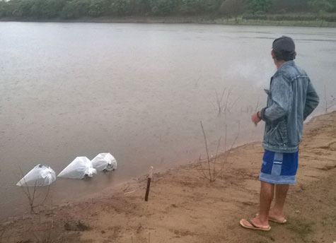 Caculé: Distribuição de peixes fortalece a piscicultura familiar em comunidades rurais