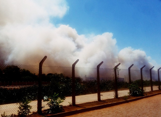 Caetité: Incêndio criminoso toma conta da vegetação do Parque Deputado Paulo Jackson