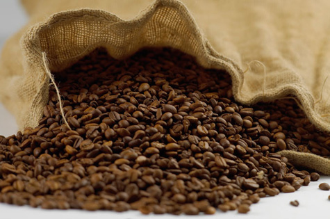 Barra da Estiva: Seagri debate caminhos sustentáveis para a cafeicultura