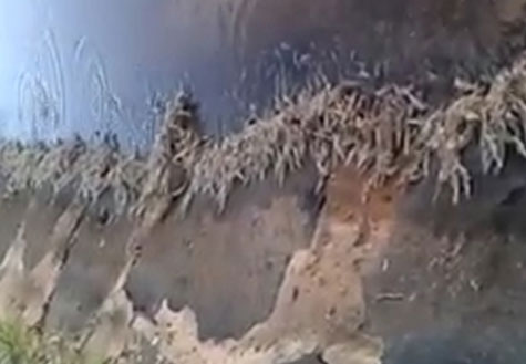 Condeúba: Camarões e peixes são encontrados mortos na Barragem do Champrão