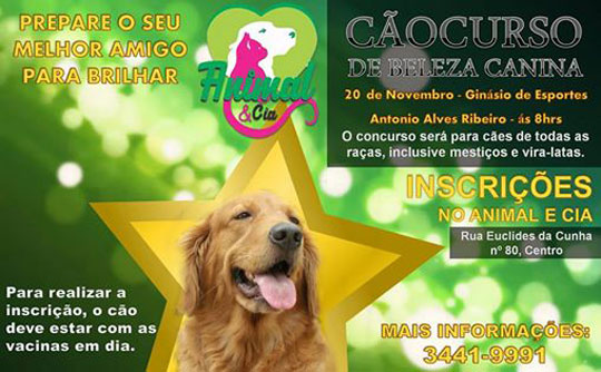 I Cãocurso de Beleza Canino será realizado em Brumado