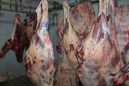 Exportação de carne brasileira desaba após operação da Polícia Federal