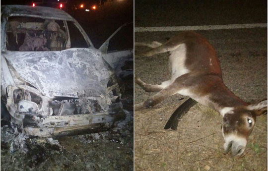 Carro pega fogo ao colidir com animal na BA-142 em Tanhaçu