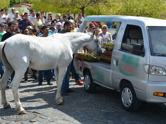 Cavalo comove família e amigos com 'adeus' ao dono durante velório